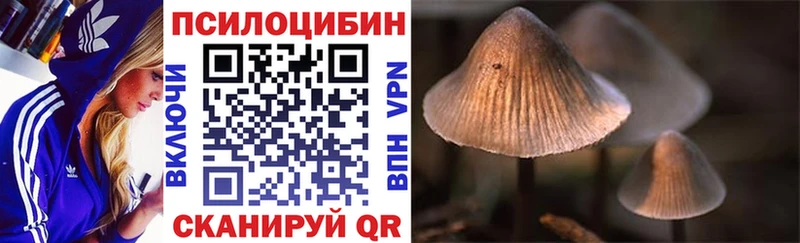 Галлюциногенные грибы мухоморы  darknet Telegram  Таштагол 