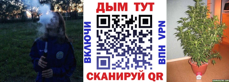 Марихуана планчик  Таштагол 